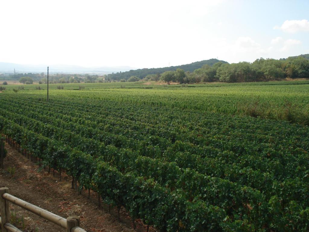 Agriturismo La Fontanella & Glamping ชูเวเรโต ภายนอก รูปภาพ