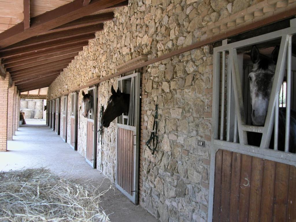 Agriturismo La Fontanella & Glamping ชูเวเรโต ภายนอก รูปภาพ